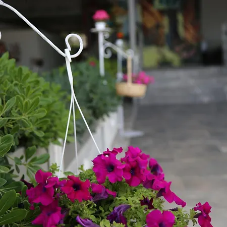 Yuzbasi ホテル マルマリス