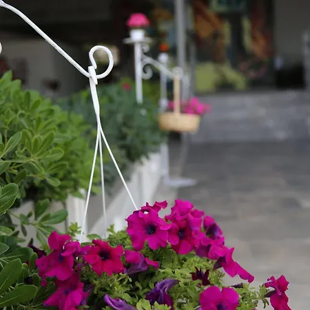 Yuzbasi Hotel Marmaris