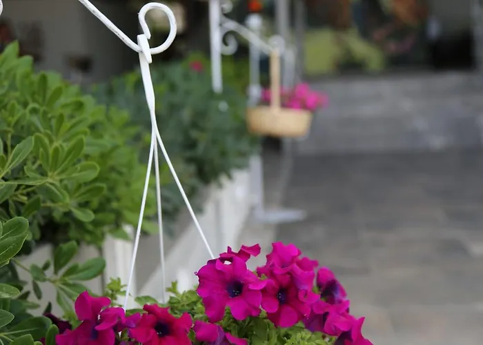 Yuzbasi Ξενοδοχείο Μαρμαρίς